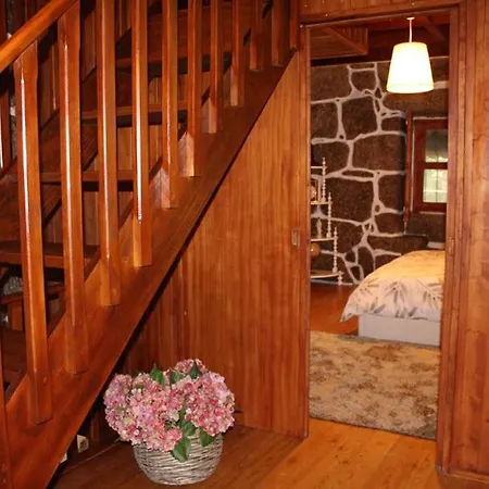 Ribeiro Country Villa Com Piscina A 30 Min Do Porto בית נופש *