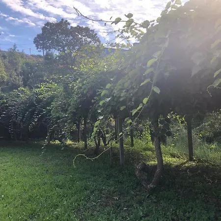 Vakantiehuis Ribeiro Country House - Near Porto Rebordosa