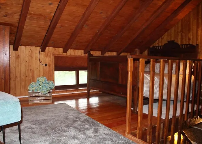 Ribeiro Country Villa Com Piscina A 30 Min Do Porto Σπίτι διακοπών *