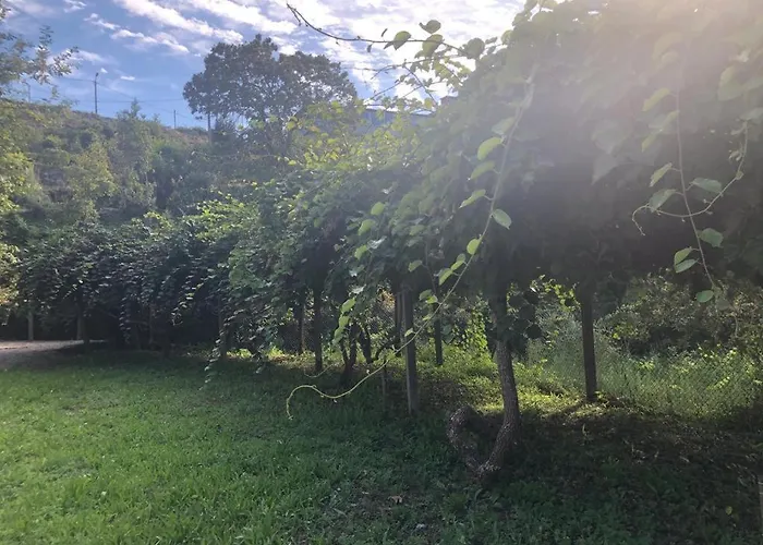Σπίτι διακοπών Ribeiro Country Villa Com Piscina A 30 Min Do Porto Rebordosa